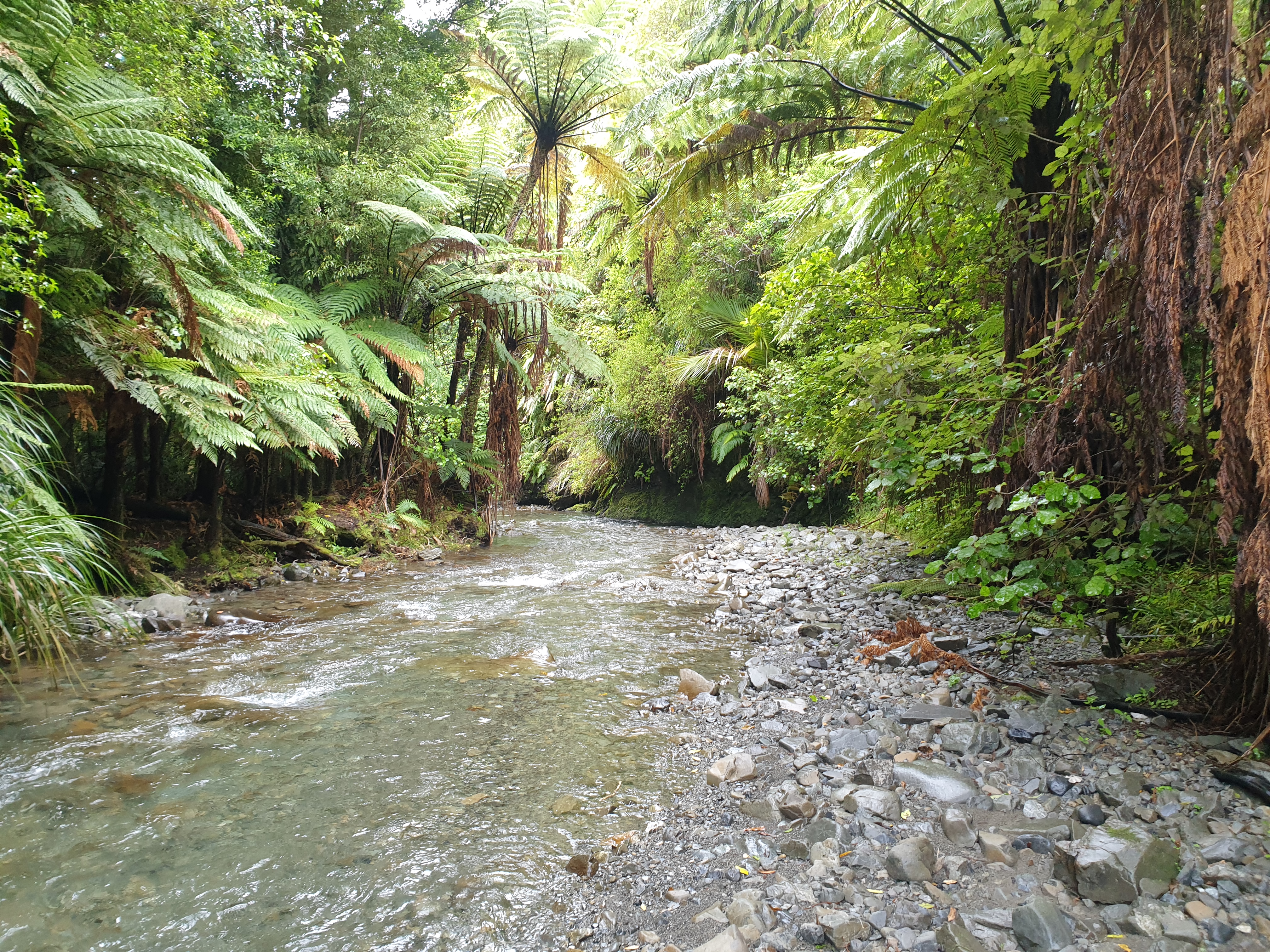Ngatiawa River